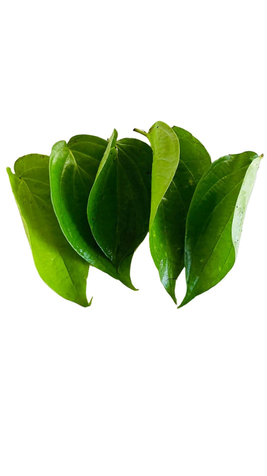 Fresh Paan Leaves